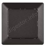 Antracit c 6 Spinac 1 a 6 A6100_5.JPG
