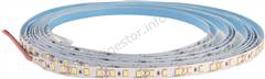 GX LED pasik 12Wm 2835 CW IP20 12V 600LED 6500K 60